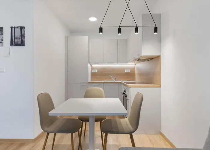 Apartment Pilot - With Parking *